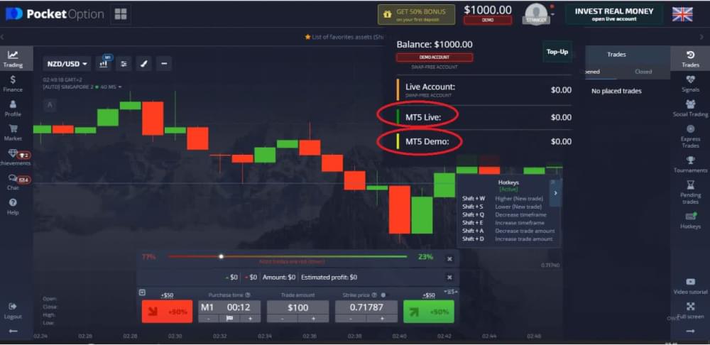 Pocket Option Binary Options Interface